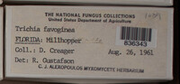 Image Associated With the Occurence